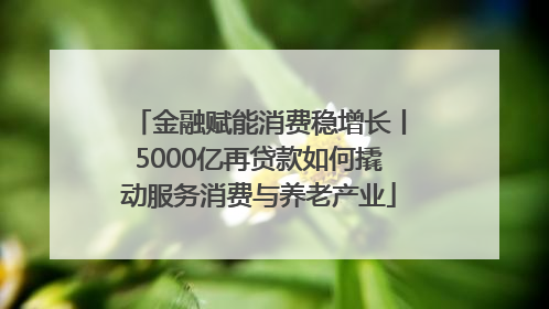 金融赋能消费稳增长丨5000亿再贷款如何撬动服务消费与养老产业