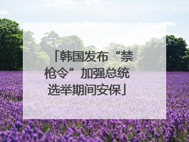 韩国发布“禁枪令”加强总统选举期间安保