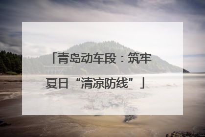 青岛动车段：筑牢夏日“清凉防线”