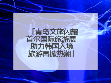 青岛文旅闪耀首尔国际旅游展 助力韩国入境旅游再掀热潮