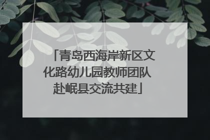 青岛西海岸新区文化路幼儿园教师团队赴岷县交流共建