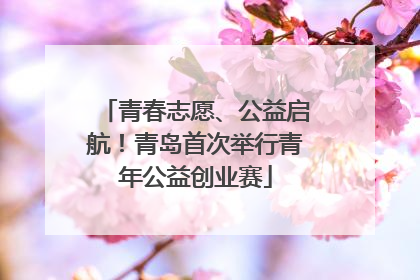 青春志愿、公益启航！青岛首次举行青年公益创业赛
