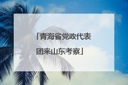 青海省党政代表团来山东考察
