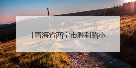 青海省西宁市胜利路小学：思政教育拓新路
