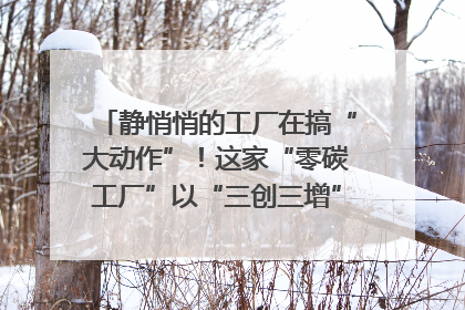 静悄悄的工厂在搞“大动作”！这家“零碳工厂”以“三创三增”探索共富新路径｜网络名人四川行