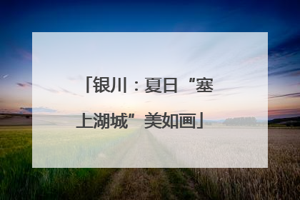 银川：夏日“塞上湖城”美如画