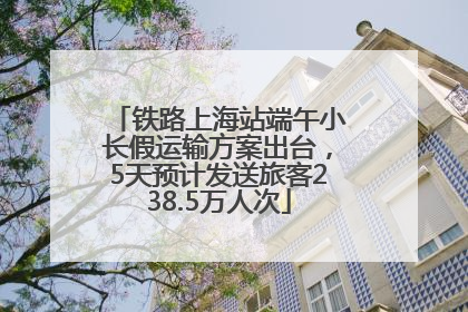 铁路上海站端午小长假运输方案出台，5天预计发送旅客238.5万人次