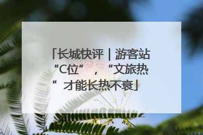 长城快评｜游客站“C位”，“文旅热”才能长热不衰