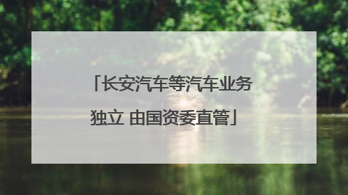 长安汽车等汽车业务独立 由国资委直管