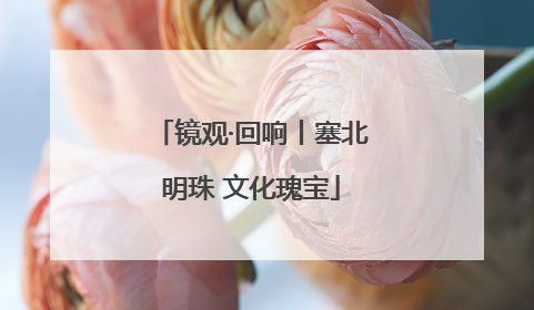 镜观·回响丨塞北明珠 文化瑰宝