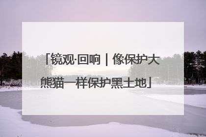 镜观·回响｜像保护大熊猫一样保护黑土地