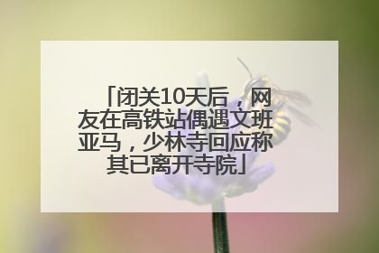 闭关10天后，网友在高铁站偶遇文班亚马，少林寺回应称其已离开寺院