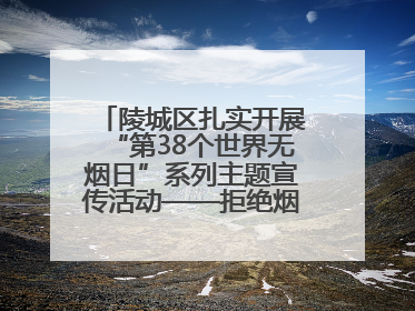 陵城区扎实开展“第38个世界无烟日”系列主题宣传活动——拒绝烟草诱惑 对第一支烟说不