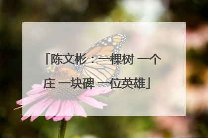 陈文彬：一棵树 一个庄 一块碑 一位英雄