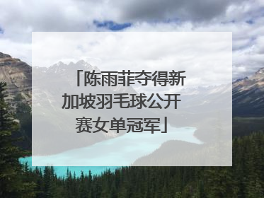 陈雨菲夺得新加坡羽毛球公开赛女单冠军