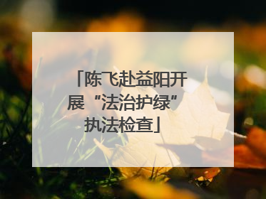 陈飞赴益阳开展“法治护绿”执法检查