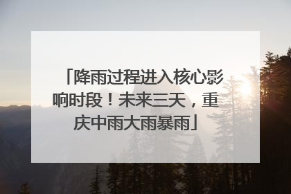 降雨过程进入核心影响时段！未来三天，重庆中雨大雨暴雨