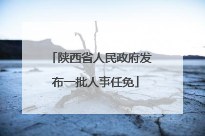 陕西省人民政府发布一批人事任免