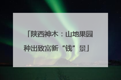 陕西神木：山地果园种出致富新“钱”景