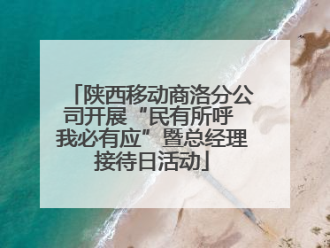 陕西移动商洛分公司开展“民有所呼 我必有应”暨总经理接待日活动