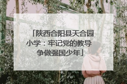 陕西合阳县天合园小学：牢记党的教导 争做强国少年