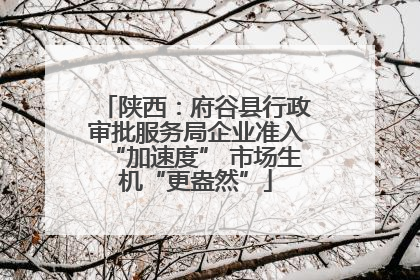 陕西：府谷县行政审批服务局企业准入“加速度” 市场生机“更盎然”
