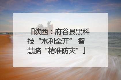 陕西：府谷县黑科技“水利全开” 智慧脑“精准防灾”