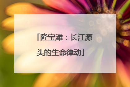 隆宝滩：长江源头的生命律动