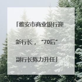 雅安市商业银行迎新行长，“70后”副行长陈力升任