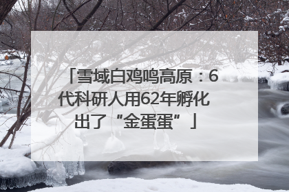 雪域白鸡鸣高原：6代科研人用62年孵化出了“金蛋蛋”