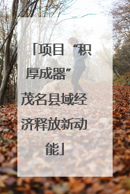 项目“积厚成器” 茂名县域经济释放新动能