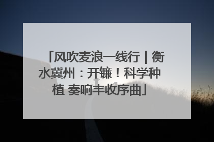 风吹麦浪一线行｜衡水冀州：开镰！科学种植 奏响丰收序曲