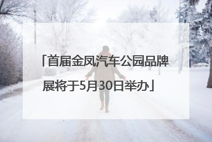 首届金凤汽车公园品牌展将于5月30日举办