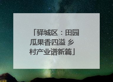 驿城区：田园瓜果香四溢 乡村产业谱新篇
