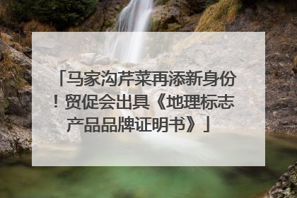 马家沟芹菜再添新身份！贸促会出具《地理标志产品品牌证明书》