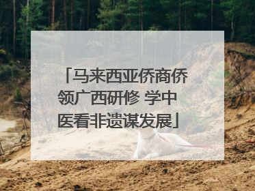 马来西亚侨商侨领广西研修 学中医看非遗谋发展