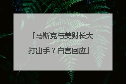 马斯克与美财长大打出手？白宫回应