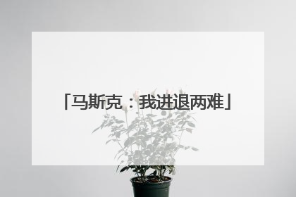 马斯克：我进退两难