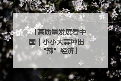 高质量发展看中国｜小小大蒜种出“辣”经济
