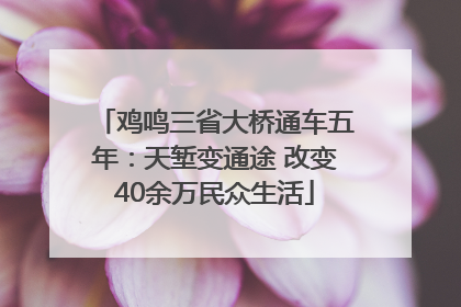 鸡鸣三省大桥通车五年：天堑变通途 改变40余万民众生活