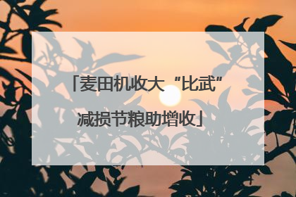 麦田机收大“比武” 减损节粮助增收