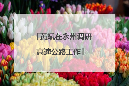 黄斌在永州调研高速公路工作