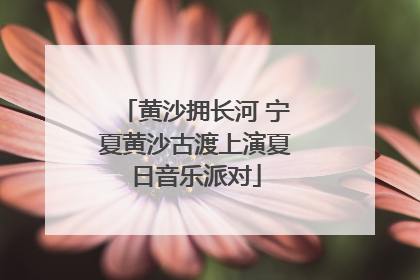 黄沙拥长河 宁夏黄沙古渡上演夏日音乐派对