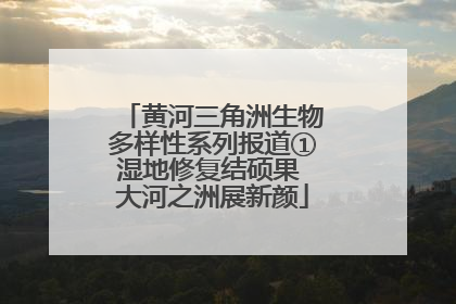 黄河三角洲生物多样性系列报道①湿地修复结硕果 大河之洲展新颜