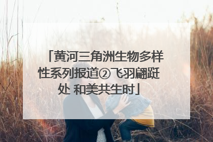 黄河三角洲生物多样性系列报道②飞羽翩跹处 和美共生时