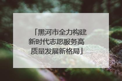 黑河市全力构建新时代志愿服务高质量发展新格局