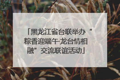 黑龙江省台联举办“粽香迎端午·龙台情相融”交流联谊活动