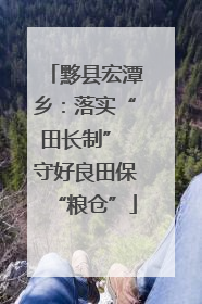 黟县宏潭乡：落实“田长制” 守好良田保“粮仓”