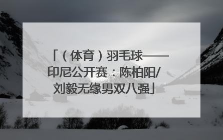 （体育）羽毛球——印尼公开赛：陈柏阳/刘毅无缘男双八强