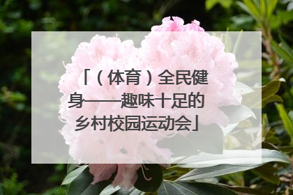 （体育）全民健身——趣味十足的乡村校园运动会
